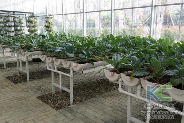 無(wú)土栽培，無(wú)土栽培技術(shù)，無(wú)土栽培設備