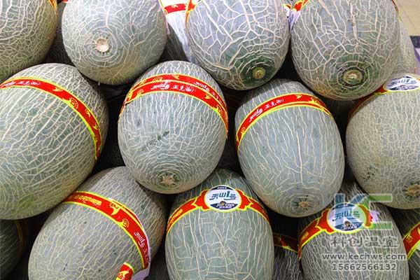 無(wú)土栽培，無(wú)土栽培技術(shù)，無(wú)土栽培設備
