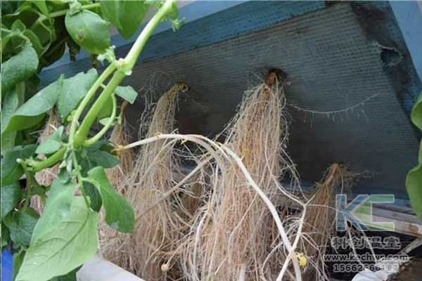無(wú)土栽培，無(wú)土栽培技術(shù)，無(wú)土栽培設備