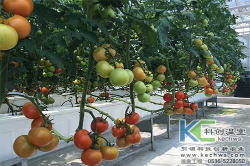 箱式無(wú)土栽培，無(wú)土栽培