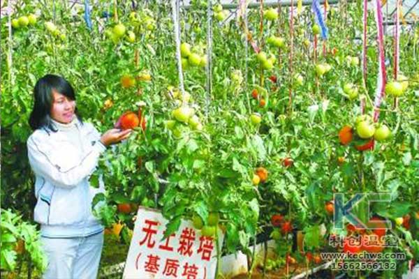 無(wú)土栽培，無(wú)土栽培技術(shù)，無(wú)土栽培設備