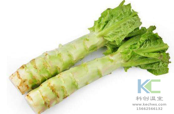無(wú)土栽培，無(wú)土栽培技術(shù)，無(wú)土栽培設備